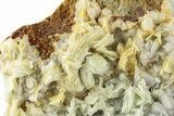 Green, Bladed Prehnite Crystals with Quartz - Morocco #255507-2